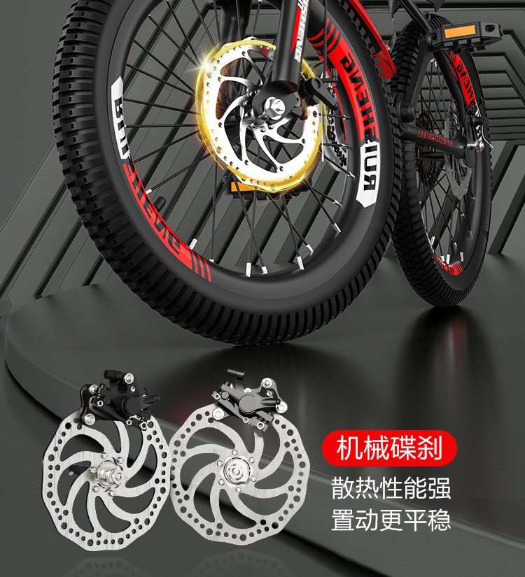 62d53973-0751-425d-9881-efa5e3a1c7e7.jpe