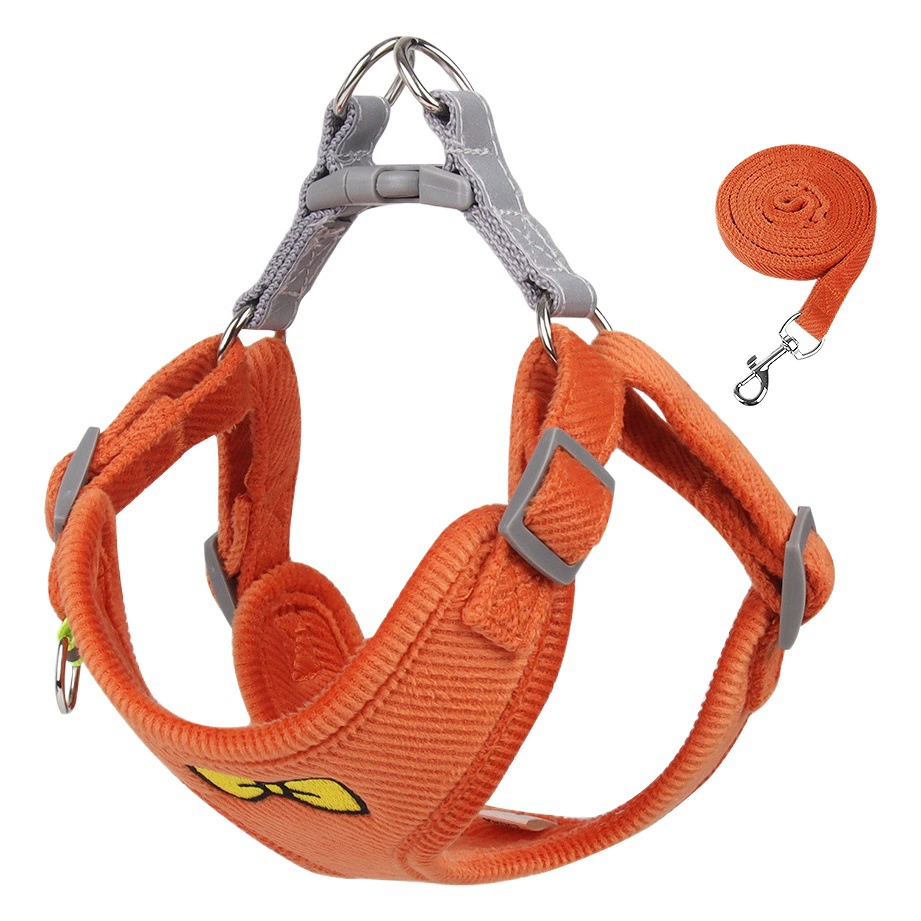 Ремеска для домашних животных Ремесла для собак Тедди Бей Бомей Маленькая собака с отражением Ремесла для собак