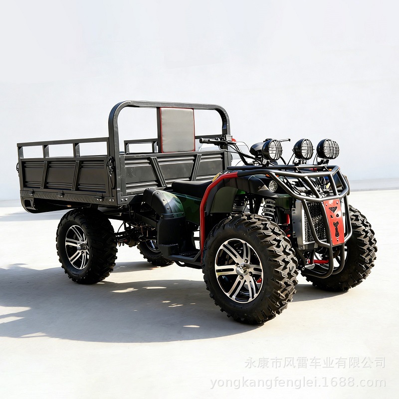 Cuatrimoto Agrícola 4WD con Volquete de Hierro y Plástico, Inicio Eléctrico para Campo image 4
