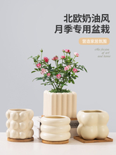 �����մɼ��ú����m���û��豱�W���sins�L�����L����Gֲ����}