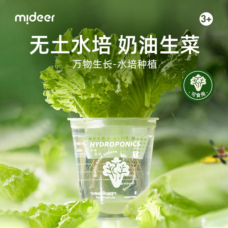 mideer弥鹿水培阳光种植房儿童玩具科学小实验套装植物生长观察盒|ms