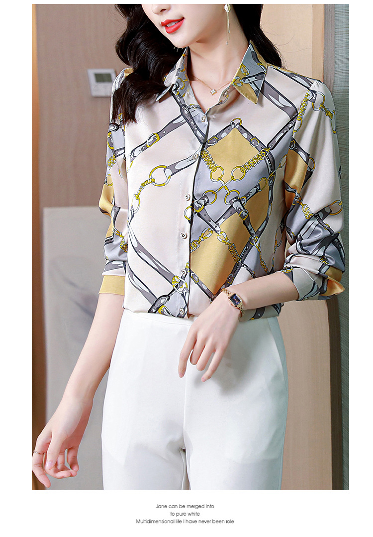 Silk Shirt Image