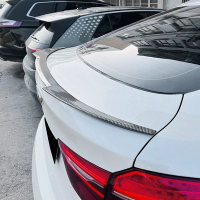 Wing, Roof Wing, Spoiler, Fixed wind wing