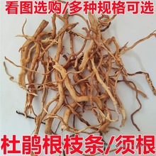 ���N��֦�l   ��횸���֦ �ݸ������� ���֦ ΢���^�쾰�ٗl