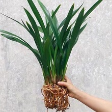 �����m������ī�m��ڈ�q�m���~�m���m����͏d�̨�ļ��Gֲ����