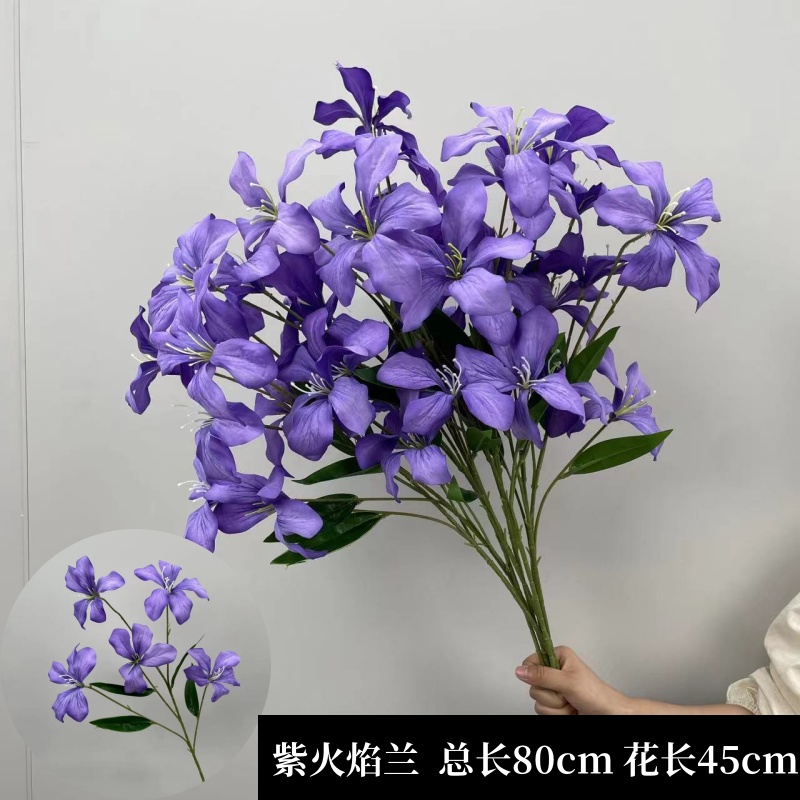 레몬 노란색 보라색 불꽃 난초