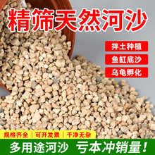 河沙粒精筛粗河砂多肉铺面石君子兰配土颗粒种植养花鱼缸造景底砂