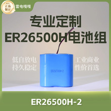 鋰亞電池組ER26500H-2鋰亞硫酰氯圓柱電池組水電表地磁物聯網燃氣