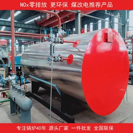 燃生物质锅炉;燃气锅炉;蒸汽发生器