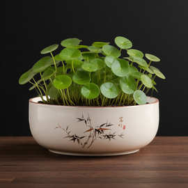 水培器皿禅意汝瓷花盆花器复古陶瓷水培鲜花铜钱草底座中式花盘