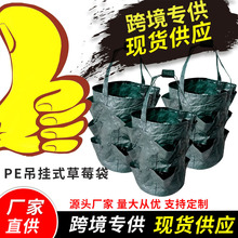 OPP�����b3�Ӂ�PE����ʽ��ݮ���Ғ�ʽ����ֲ�ﻨ�ܿ��Ј@ˇ�Nֲ��