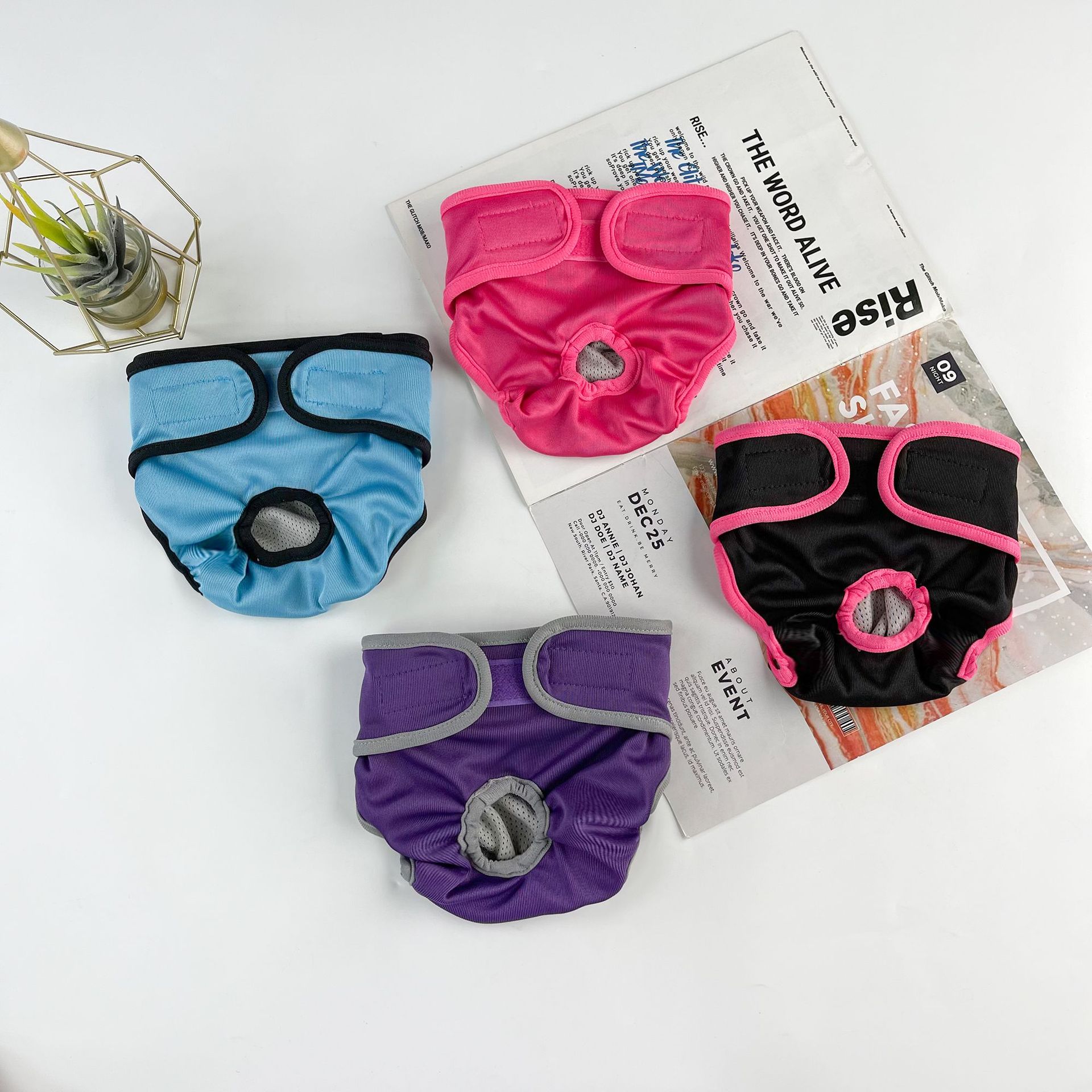 b0cd98e9-c137-4e13-87d7-8dc9ea