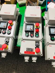 LBZ-A2K1G explosion-proof operation column-LBZ-A2K1B1G explosion-proof anti-corrosion operation column