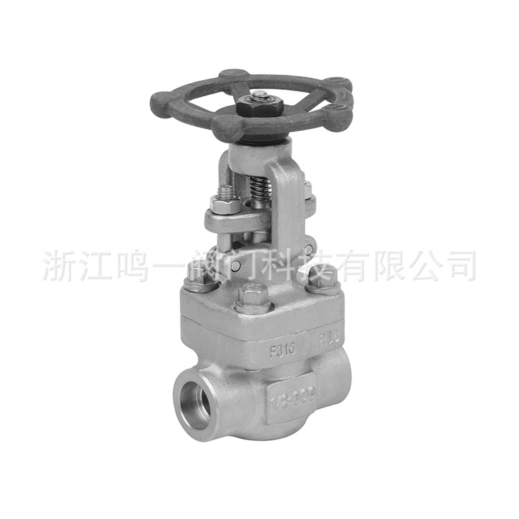 F316不锈钢承插焊闸阀锻钢闸阀锻造800LB硬密封不锈钢美标闸阀