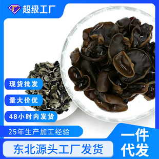 ��؛��ľ��С���ľ�����ľ����ľ����ľ����؛���l ��ľ��