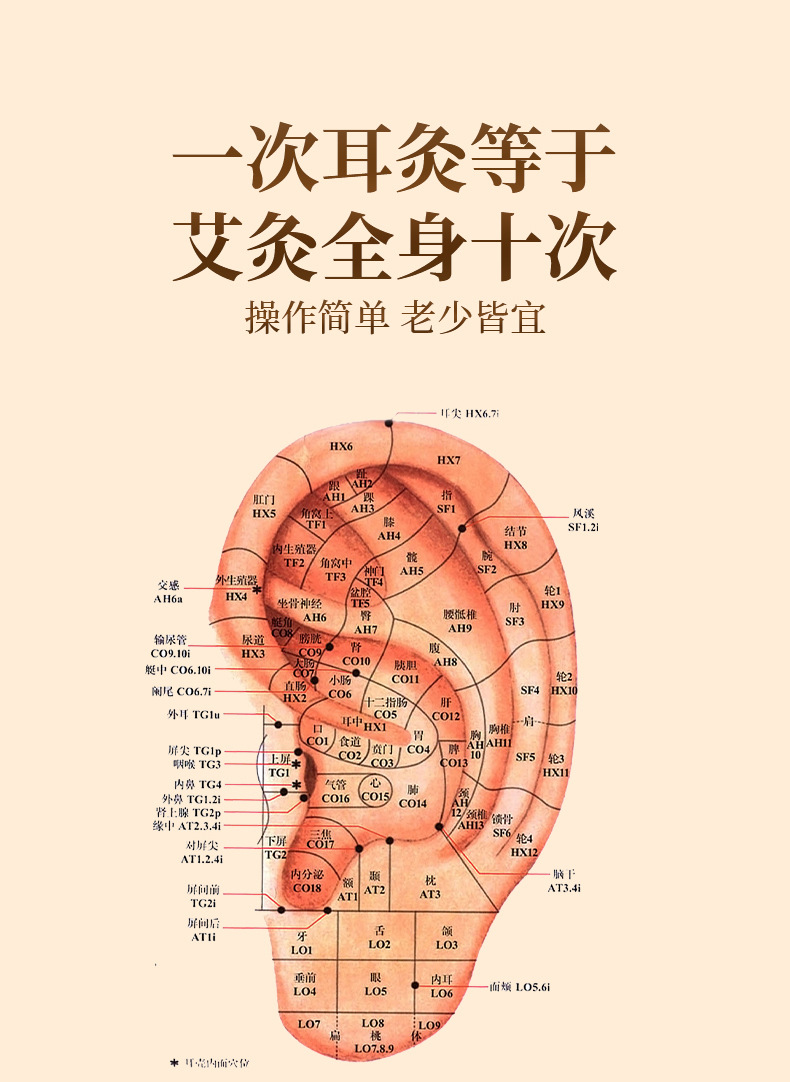 Moxa Box Ear Moxibustion Device Low Smoke Moxa Tool for Ear and Head Wellness 30 Herbal Moxa Cones 250g key features