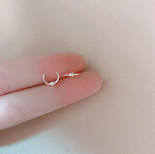 Pendientes de aro lisos para mujer, lujo ligero, pendientes de alta gama, pendientes populares, aretes de diseño exclusivo, aretes de otoño e invierno al por mayor