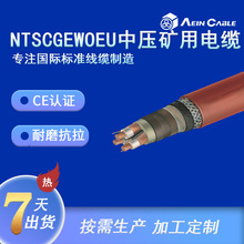 �S�ҹ���CE�J�C�Љ��V����| NTSCGEWOEU��ú�C����|