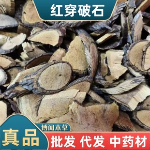 �t����ʯ��ș�� �͹��� ��Ԫ�tѪ�L�� ����� �Fţ��ʯ �t����ʯ