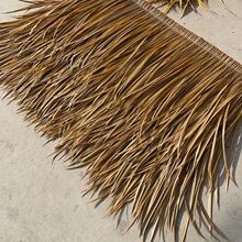 é�����rׯ���^����ͥԺ��ͤ�¹�����b���é�ݷ���ë�ݼٵ���