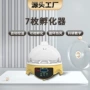 家庭禽类科教鸟类孵化机