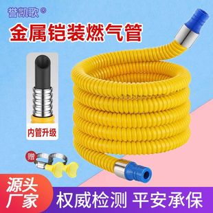 Armored Pipe Metal Corrugated Pipe Natural Gas Cooker Gas Liquefied Gas Hose Explosion-proof Medium Pressure Armored Pipe