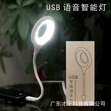 语音小夜灯语音台灯人工智能USB插头LED灯宿舍声控灯中文英文