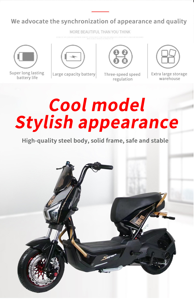 Factory Direct Sales of the War Eagle 1000W Electric Assist Bike, Compact and Lightweight with Ultra-Long Battery Life, Electric Motorcycle, Electric Scooter