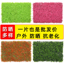 ����ֲ���ɫ���m�����ϻ���ƺ�Gֲ���G���쾰��Ƥ�T�^������