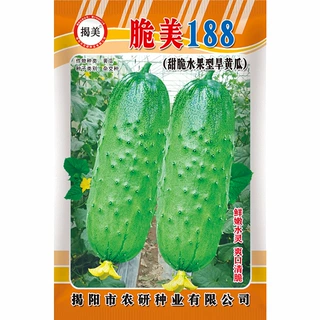 脆美188水果黄瓜种子100粒 杂交高产甜脆型旱黄瓜 短棒水果黄瓜籽
