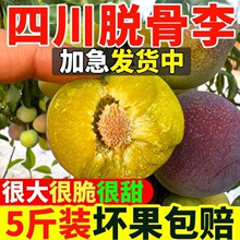 5���Ĵ�Ó�Ǵ����ӿ��Į������r��t���P������t���ЋD���ǰ��]