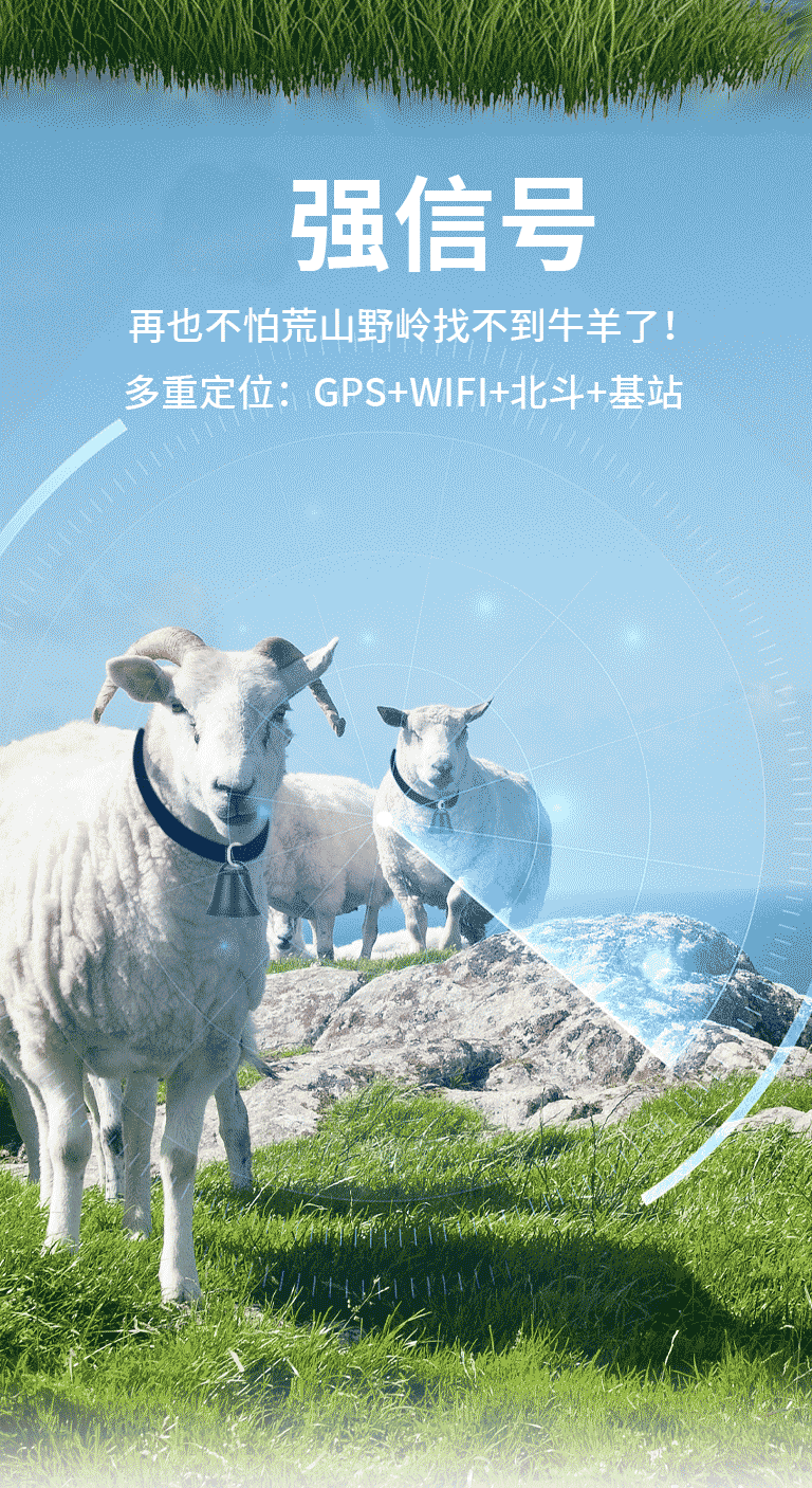 Q6 Cow and Sheep Collar-Mounted Tracking Device for Pasture and Grassland, Waterproof Gps Beidou Wifi Multi-Mode Locator