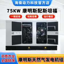75kw康明斯配斯坦福柴油发电机组集装箱石油野营房加工架构稳定款