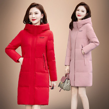 ���L����q��Ů2025�����¿������@�ݕr���Bñ�Ӻ�����qƷ������