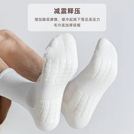 运动休闲棉袜;船袜、隐形袜;丝袜