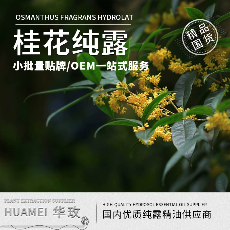 Пятно Osmanthus fractus экстракт чистой росы мощная увлажняющие осветляющие цвета кожи косметики оптовая продажа