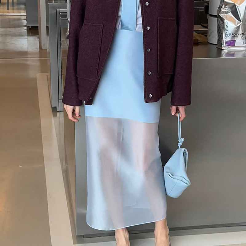 Summer New Design See-Through High-Waist Skirt for Women 2025 Sense of Design Elegant Casual Work Clothing European and American Style Cross-Border