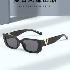 时尚潮流 2025新款跨境欧美小框太阳镜网红ins同款眼镜高级感眼镜