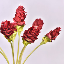 ���Sֱ�N�����֦�����ָз��滨���l�Ƶ���ò͏d�����Y�b�