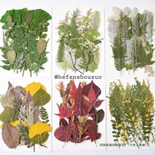 ɻֲ˱׃@ֹN~diyz|򉺻21Ƭ