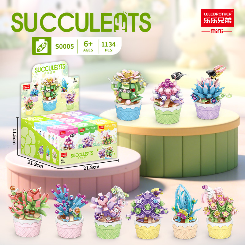 S0005 多肉植物 9箱1セット 9の倍数でご注文ください