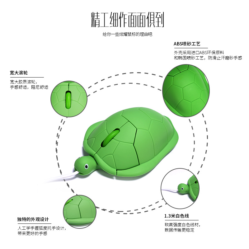 有线乌龟细节图
