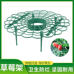Strawberry Rack Balcony Potted Vegetable Rack Planting Fruit Flower Pot Bracket Courtyard Plant Climbing Gardening Bracket Artifact