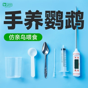 Yee parrot feeding tool syringe spoon baby bird milk powder thermometer needle feeder scale cup