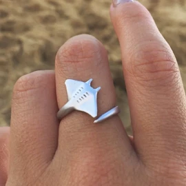 戒指;项链;耳钉