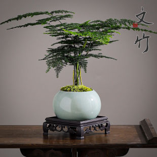 ��������ֲ���҃ȃ����՚��k���ҾGֲ�����辰����С