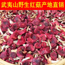 �t������Ұ��500Ģ����Ұ������؛��ϼt���t׵���t�þ����؛