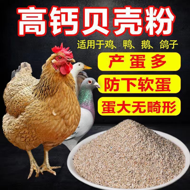 贝壳粉饲料牡蛎粉鸡鸭鹅补钙鹌鹑鸽子产蛋防软壳牡蛎蛋鸡高钙
