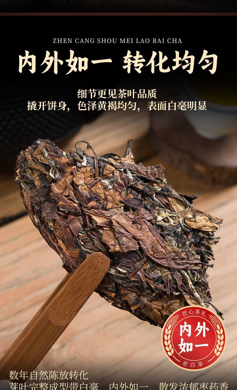 b8b22836-ec8f-4737-a4af-cc032aba7435.jpe