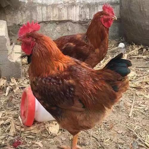 622845f0bbabb3f15c970d77501953